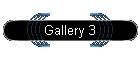 Gallery 3