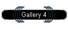 Gallery 4