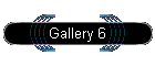 Gallery 6