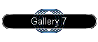 Gallery 7