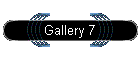 Gallery 7